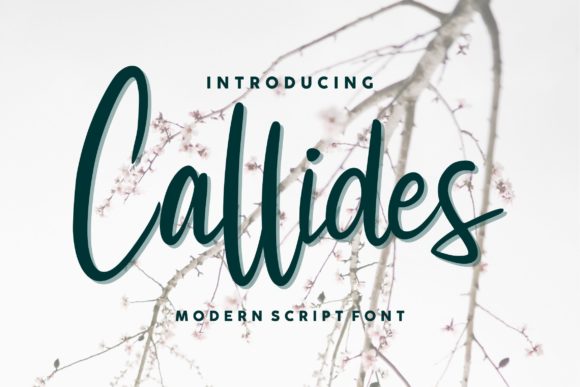 Callides Script: A Romantic Font for Campaign Creativity