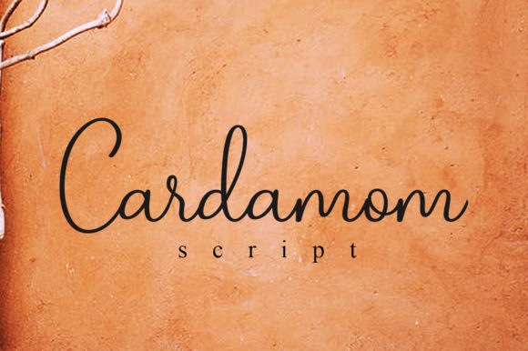 Cardamom Script: Elevating Your Campaign with Timeless Typography