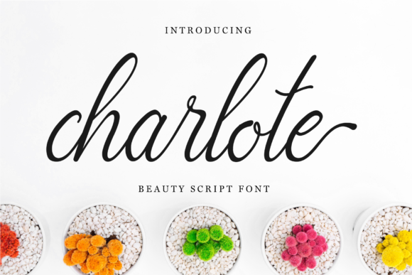 Charlote Script: A Designer’s Real-World Test