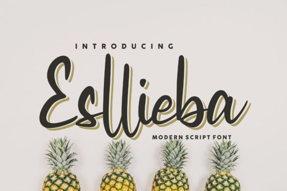 Esllieba Script: A Refined Font for Modern Web Design
