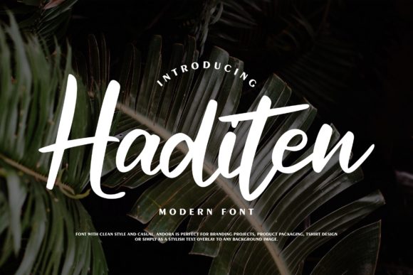 Haditen Script: A Chic Font for Handmade Creations