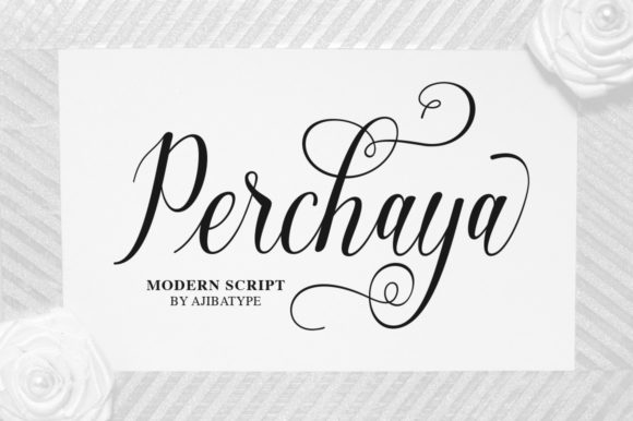 Perchaya Script for Web Design: A Handwritten Typeface with Digital Charm